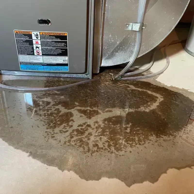 Appliance Leak Cleanup in Rockton, IL